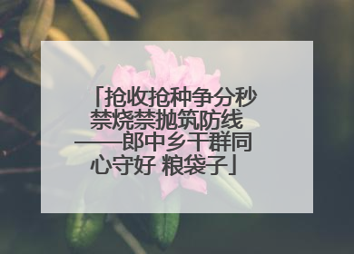 抢收抢种争分秒 禁烧禁抛筑防线——郎中乡干群同心守好 粮袋子